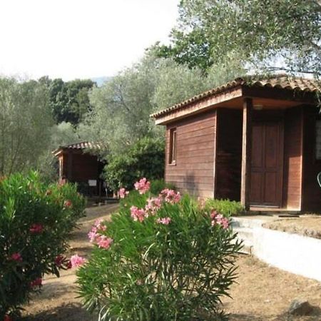 Gites Chalets De Grosseto-Prugna Bagian luar foto